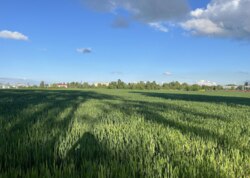 ������ �������� ������ �� ������� �������� ���� 3