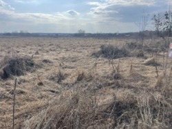 ������ ������ � �.������ ���� 4