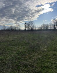 ������ �������� ������ �� ������� �������� ���� 7