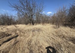 ������ �������� ������ �� ������� �������� ���� 2