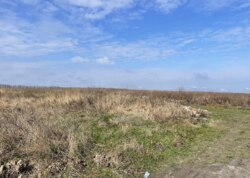 ������ �������� ������ �� ������� ������� ���� 4