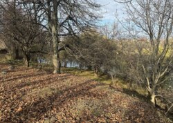 ������ �������� ������ �� ������� �������� ���� 5