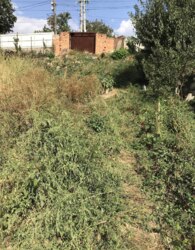 ������ �������� ������ �� ������� �������� ���� 16