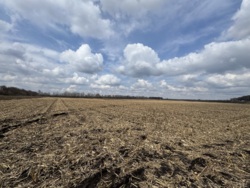 ������ �������� ������ ��������������������� ����������� ���� 1