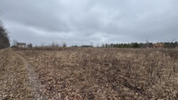 ����������� �� ������� �������� �������� ������ �� ������� �������� � ����������� �� �������� �������. ���� 2