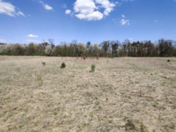 Продаж комерційноі ділянки в Ксаверівці. фото 2 Продаж комерційноі ділянки в Ксаверівці. фото 2