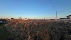 ������ �������� ������ � ������� ���� 6