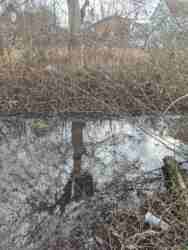 ĳ����� ��� ����������� ����� 12 ���. ���� 2