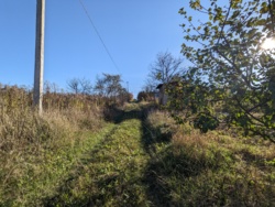 🏞    6     '' 🌿  9