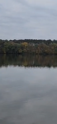 ������ ������ 75 ��� � �. г���� ���� 2