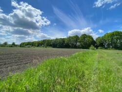 Земельна ділянка за вигідною ціною! Ідеальна для дачі або будинку! фото 2 Земельна ділянка за вигідною ціною! Ідеальна для дачі або будинку! фото 2