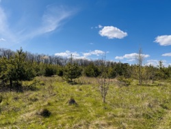 ĳ����� � ������� �������� ���� ���� 8