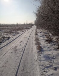 ������ �������� ������ �� ������� �������� ���� 6