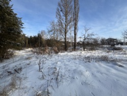 ������ �������� ������ � �. ������ � 20 ����� ��� ��� 🌲 ���� 5