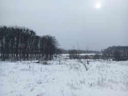 Продається ділянка Єсєніна, Вінниця, Вінницька, Передмістя, Стрижавка фото 9 Продається ділянка Єсєніна, Вінниця, Вінницька, Передмістя, Стрижавка фото 9