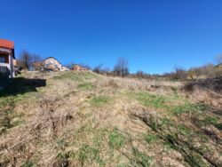 ��������� ������ ����� ������, ³�����, ³�������, �����������, ����� ���� ���� 9