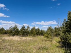 ĳ����� � ������� �������� ���� ���� 9