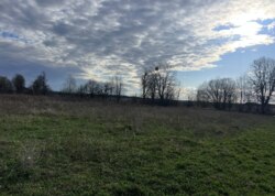 ������ �������� ������ �� ������� �������� ���� 4