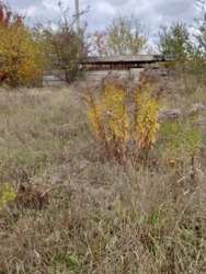 Земельна ділянка 12 сот. Вінницька обл.. фото 13 Земельна ділянка 12 сот. Вінницька обл.. фото 13