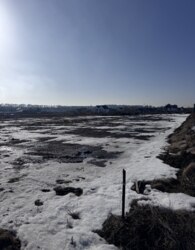 ������ �������� ������ �� ������� �������� ���� 17