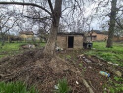 ��������� ������ 3-�������� ������������, ³�����, ³�������, �����������, ����� ���� ���� 6