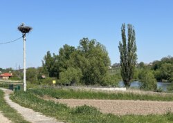 Продаж земельної ділянки під житлову забудову на вул. Українська, площа 25.75 сотки фото 7 Продаж земельної ділянки під житлову забудову на вул. Українська, площа 25.75 сотки фото 7