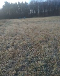 Продаж земельної ділянки сільськогосподарського призначення фото 6 Продаж земельної ділянки сільськогосподарського призначення фото 6