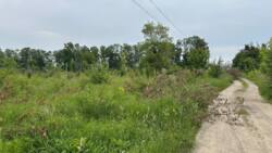 ������ �������-������ �������� ������ ������������ ����������� �� ���� �����������, ����� 1 �� ���� 2