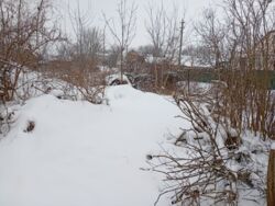 ������ �������� ������. ���� 11