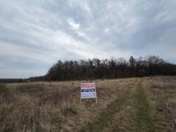 ������ ������ ��� ��� ���� 10