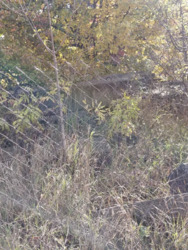 Земельна ділянка 12 сот. Вінницька обл.. фото 6 Земельна ділянка 12 сот. Вінницька обл.. фото 6