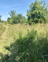 Продаж земельної ділянки під житлову забудову фото 12 Продаж земельної ділянки під житлову забудову фото 12