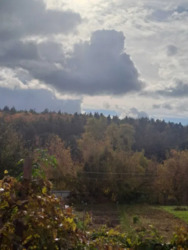 Терміновий продаж фото 5 Терміновий продаж фото 5