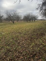 Земельна ділянка. фото 1 Земельна ділянка. фото 1