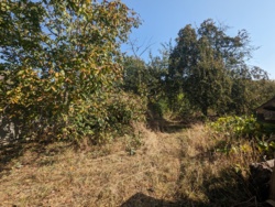 г    ,     7