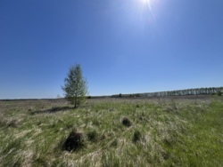 Ділянка в мальовничому місці фото 12 Ділянка в мальовничому місці фото 12