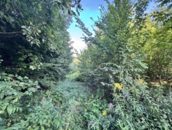 ĳ����� �������� ���� 5