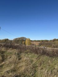 �������� ������ ��� ������ ���� 16