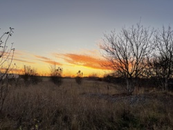 ��������� ������ ³�������, �����������, ���������, �������� ���� 8