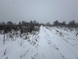 ������ ������ � ��������� ���� 7