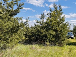 ĳ����� � ������� �������� ���� ���� 3