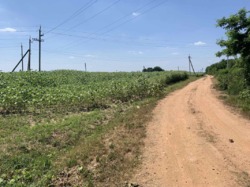 Продаю земельний пай в Якушенцях фото 3 Продаю земельний пай в Якушенцях фото 3