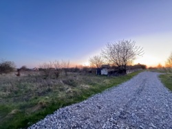 🌿 ������ �������� ������ 25 ����� �� �������� � �. г���� ���� 6