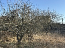 ������ ������ � �������� ���� 8