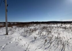 ������ �������� ������ ��������� (��������) ���� 10