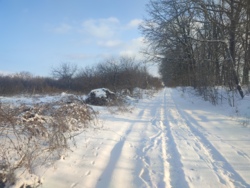 Продається ділянка в Агрономічному фото 6 Продається ділянка в Агрономічному фото 6