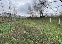 ������ �������� ������ �� ������� �������� �� ���. ������� ���� 3