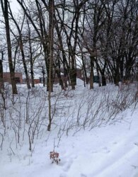 ������ �������� ������ �� ������� �������� ���� 9