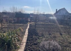 ������ �������� ������ �� ������� �������� �� ���. ���������� ���� 3