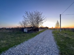 🌿 ������ �������� ������ 25 ����� �� �������� � �. г���� ���� 11